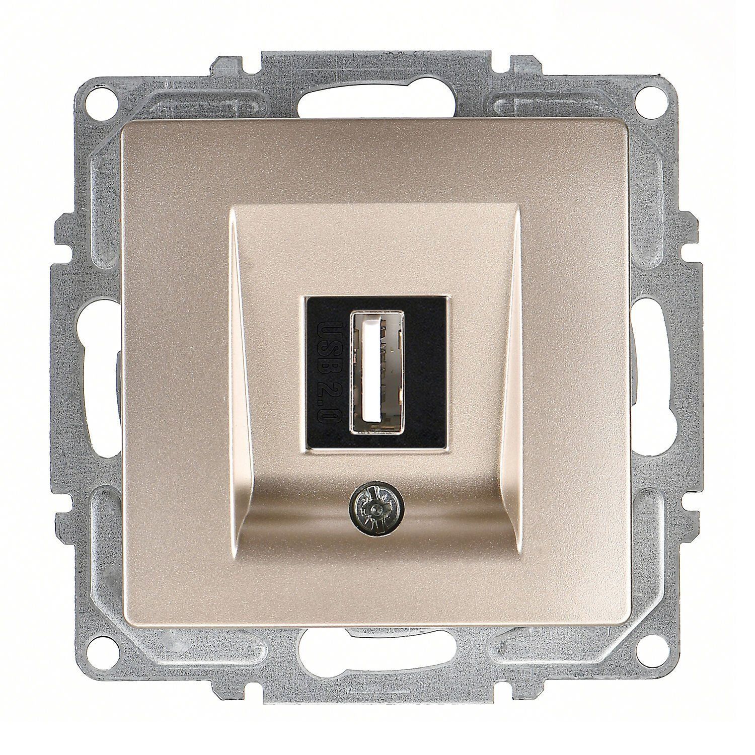 Günsan Visage Metalik Bej Vidalı USB Data Prizi