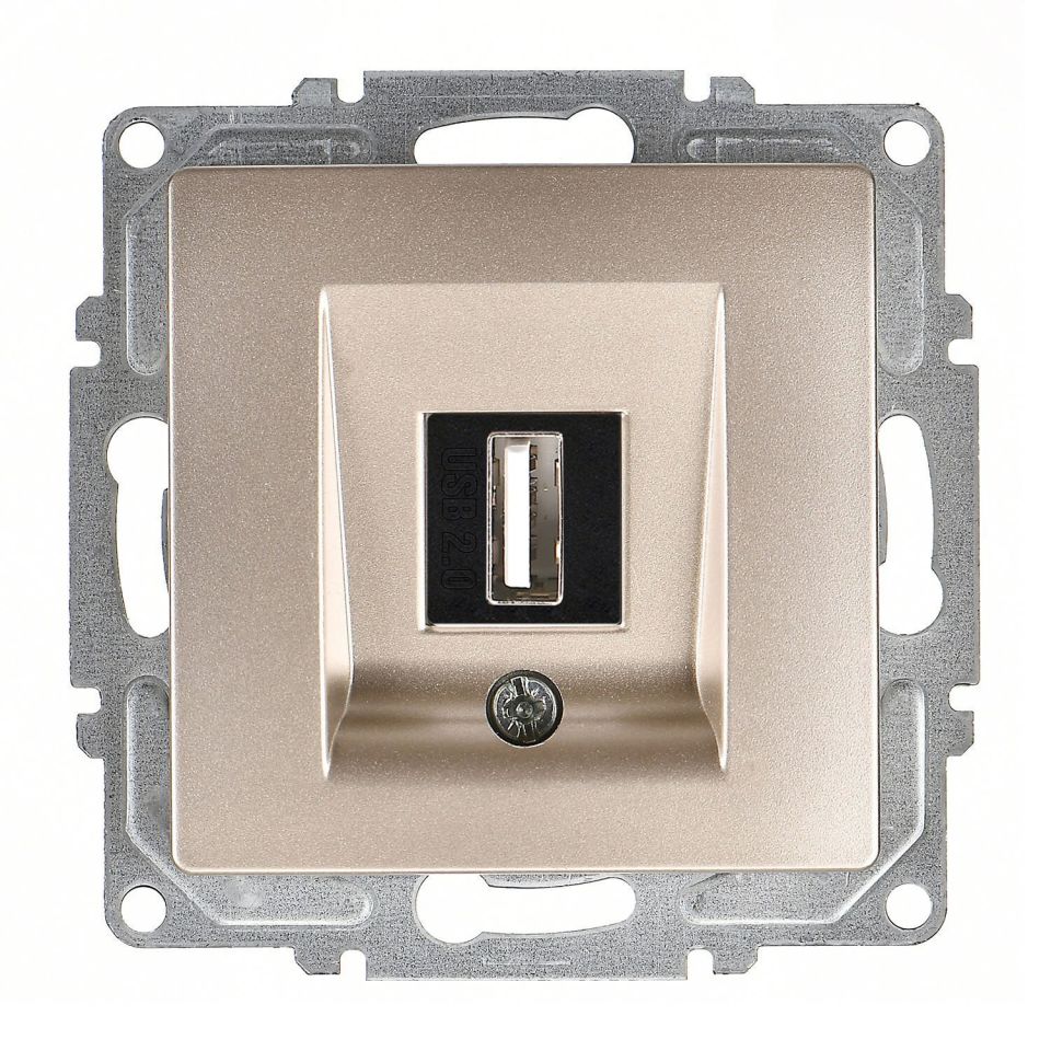 Günsan Visage Metalik Bej Vidalı USB Data Prizi