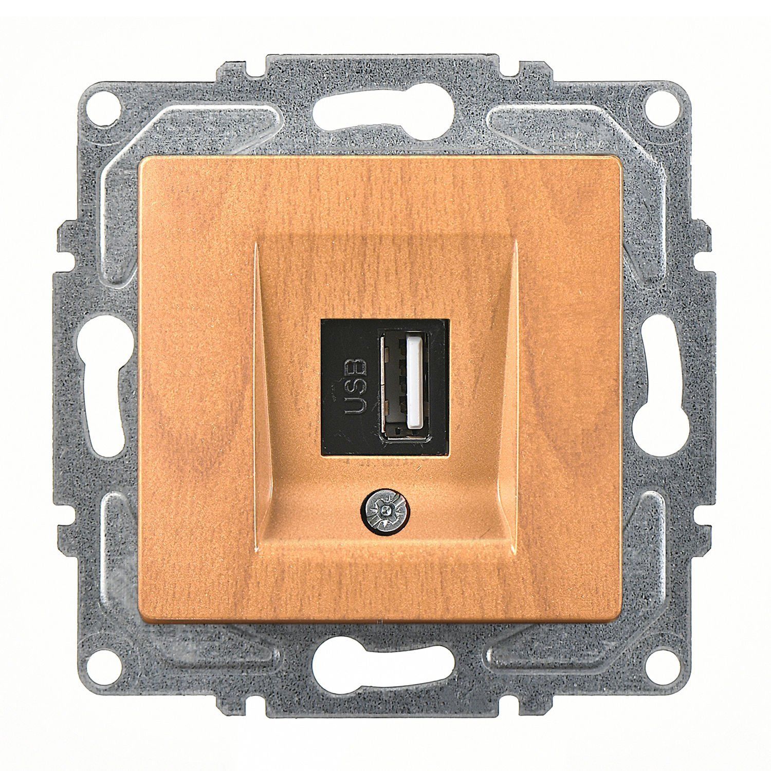 Günsan Visage Akçaağaç Vidalı USB Data Prizi