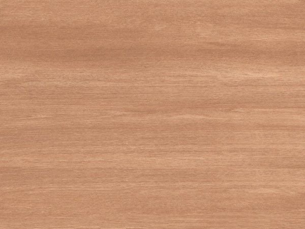 Cınar Kahve BüYüK