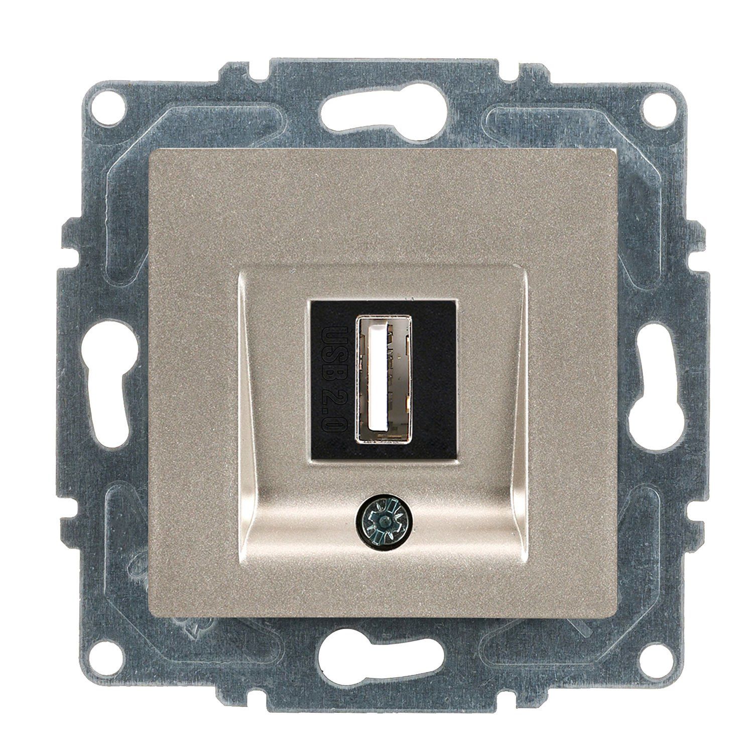 Günsan Eqona Metalik Bej Vidalı USB Data Prizi