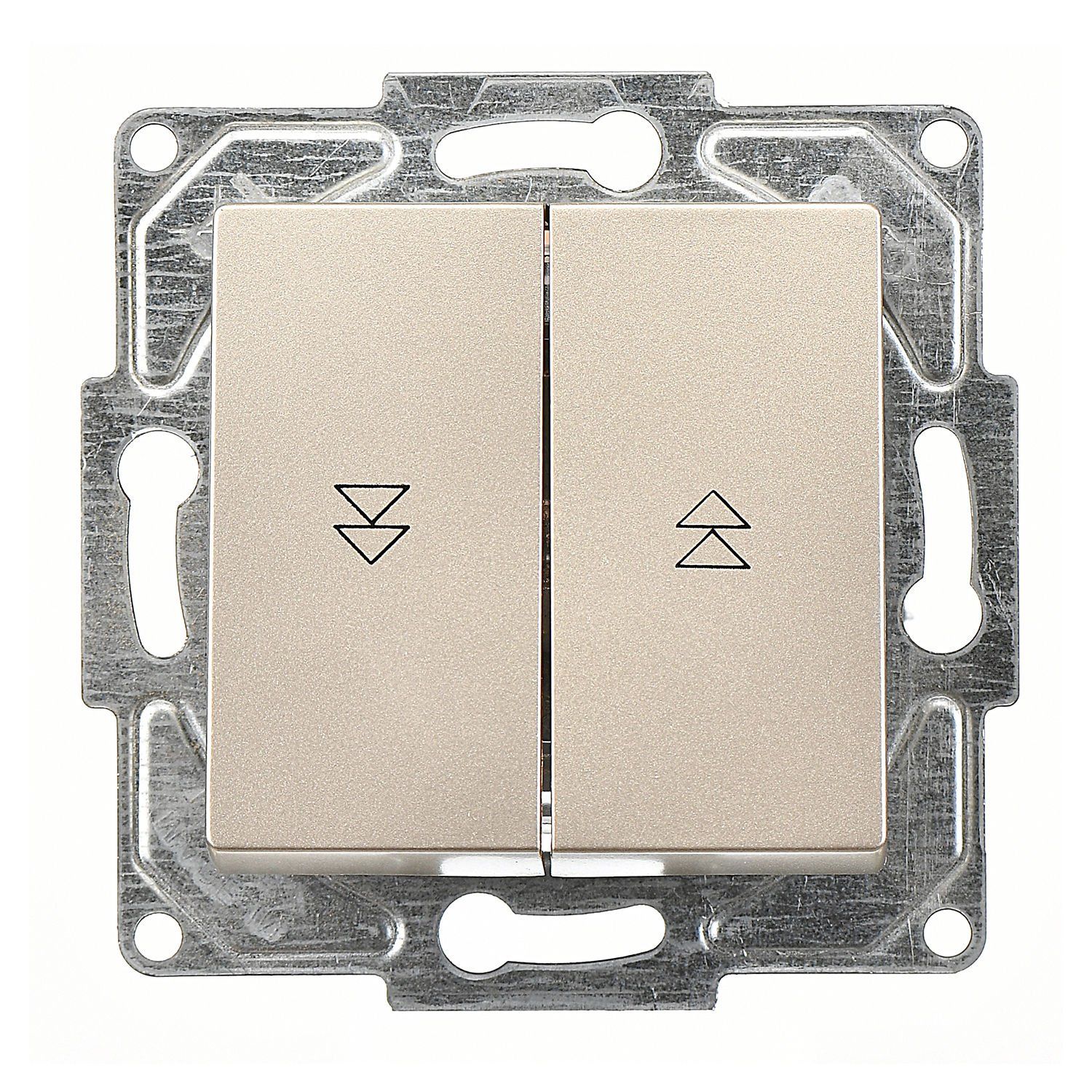 Günsan Eqona Metalik Bej Vidalı Jaluzi Kumanda Anahtarı - İki Düğmeli 10AX 250V