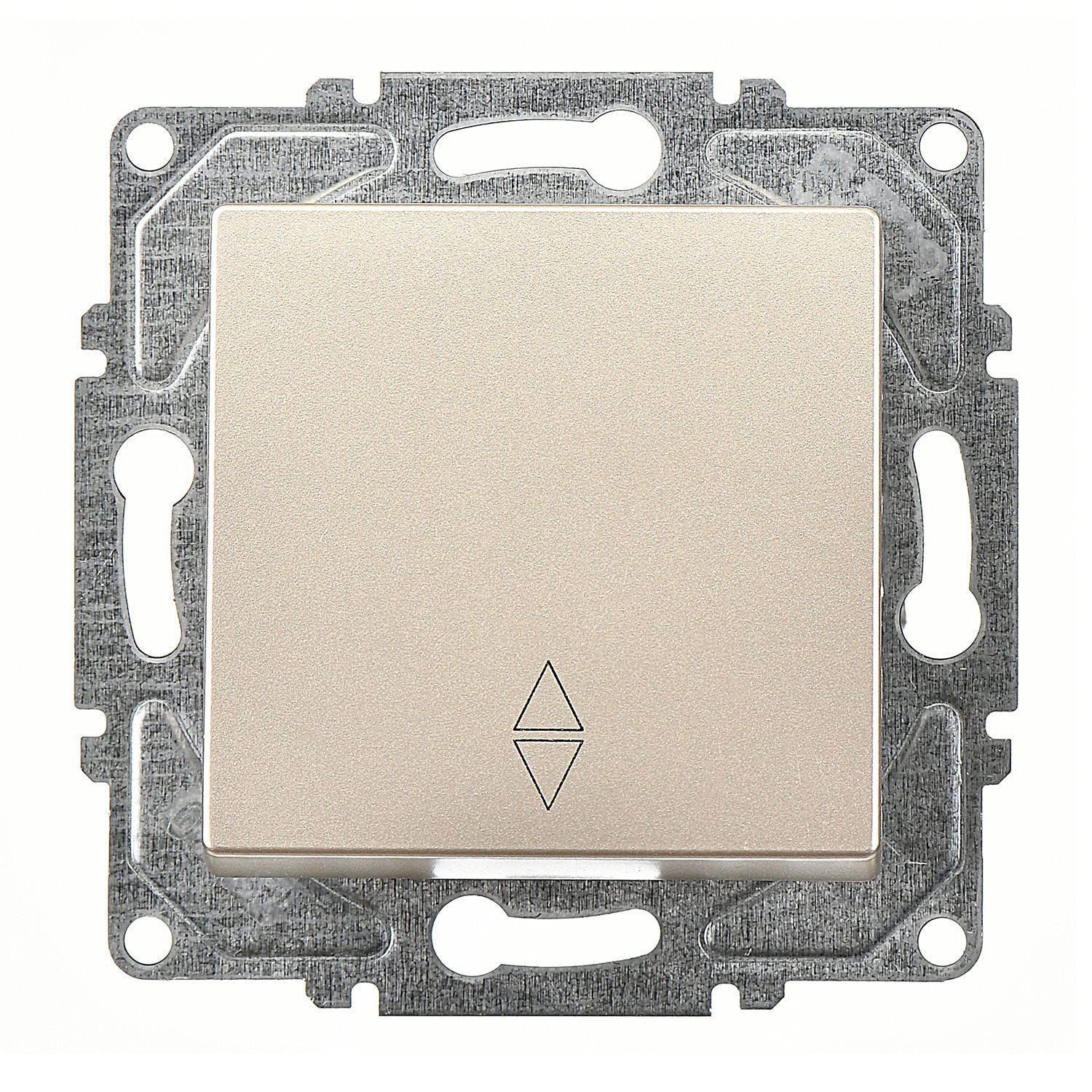 Günsan Eqona Metalik Bej Vidalı Vavien Anahtar - 10AX 250V