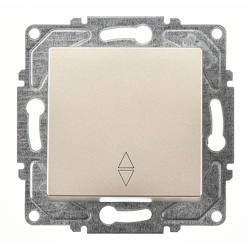 Günsan Eqona Metalik Bej Vidalı Vavien Anahtar - 10AX 250V