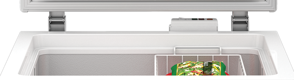  Sandık Tipi Derin Dondurucu AL 2205