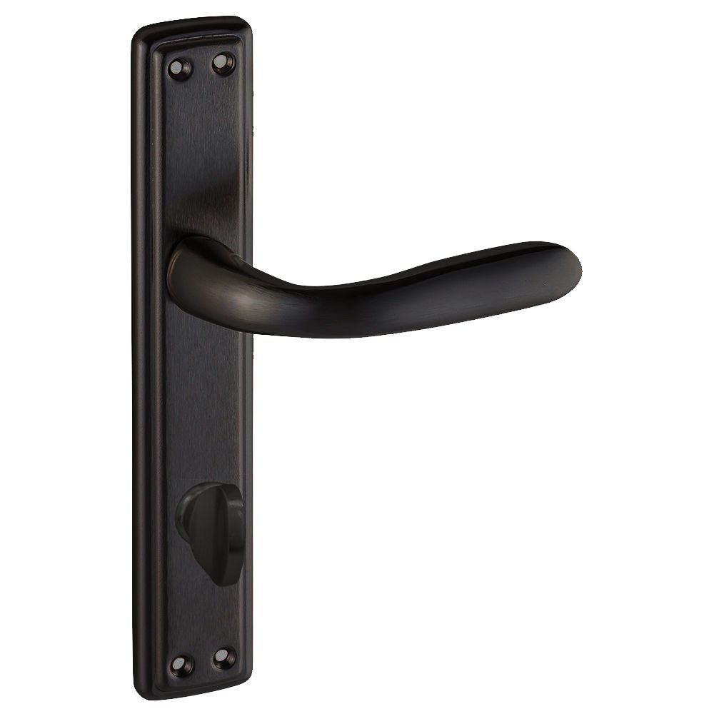 Doğanlar Bora Mat Siyah Kapı Kolu Aynalı Wc (tk)