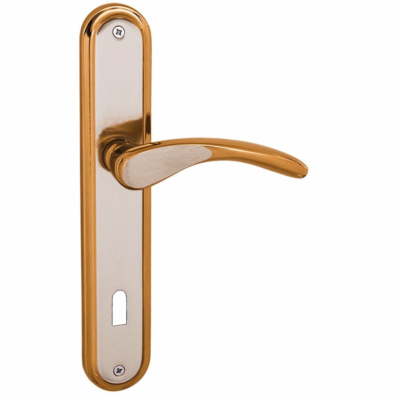 Atlas Saten Albirifin Aynal Oda Kapı Kolu