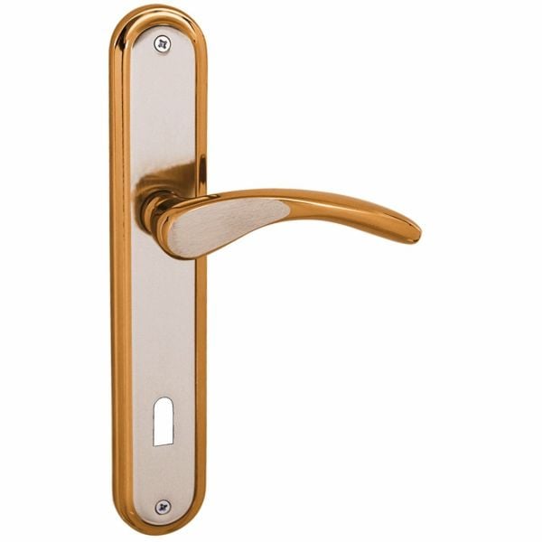 Atlas Saten Albirifin Aynal Oda Kapı Kolu