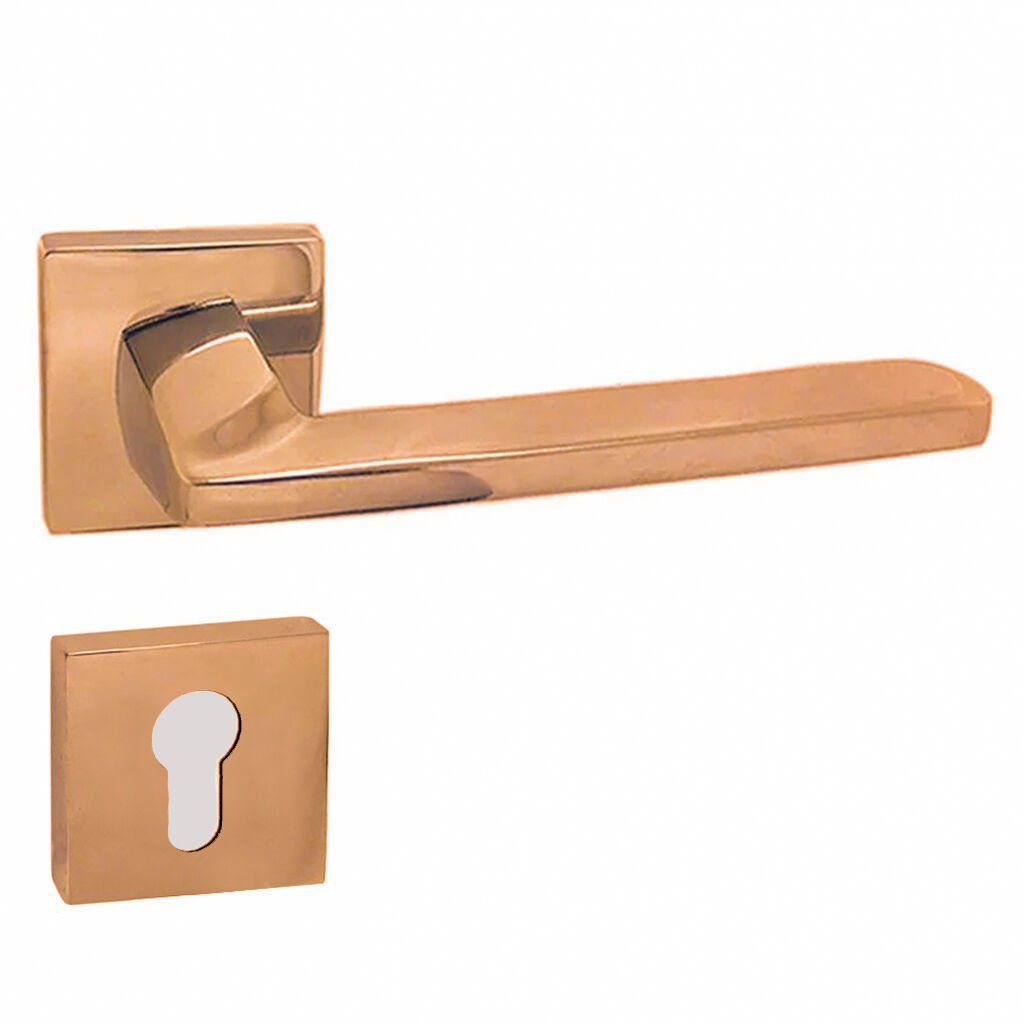 DOĞANLAR RADYA KAPI KOLU ALBİRİFİN ROZETLİ YALE SAĞ (ADET)