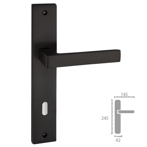 BERLİN MATSİYAH KAPI KOLU