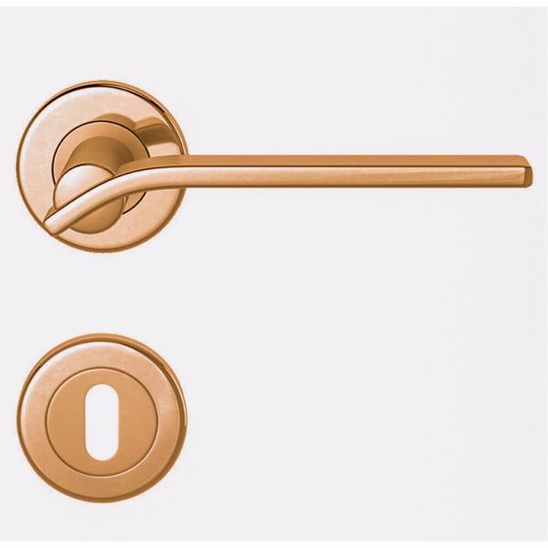 CONDI 403 PVD ALTIN ROZETLI KAPI KOLU