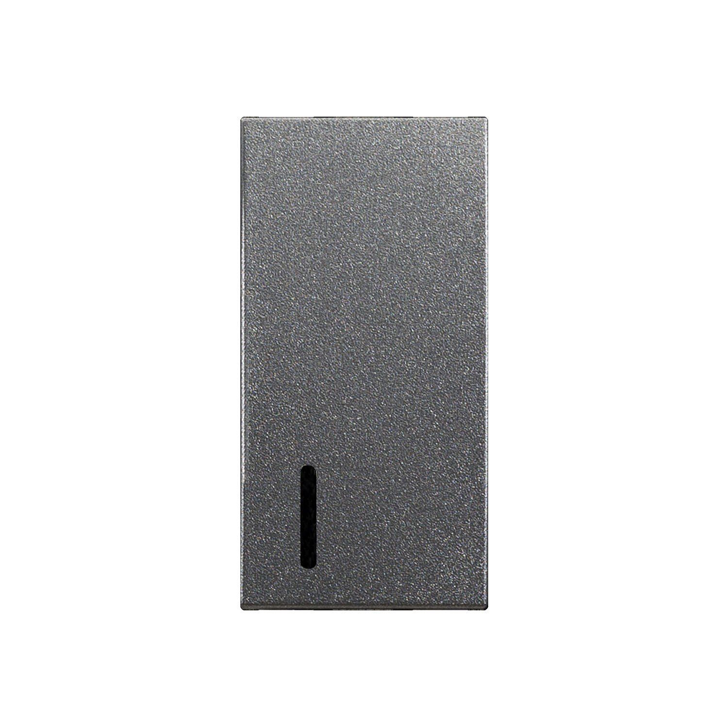 Günsan Domino Kapak Işıklı Anahtar 1M Füme